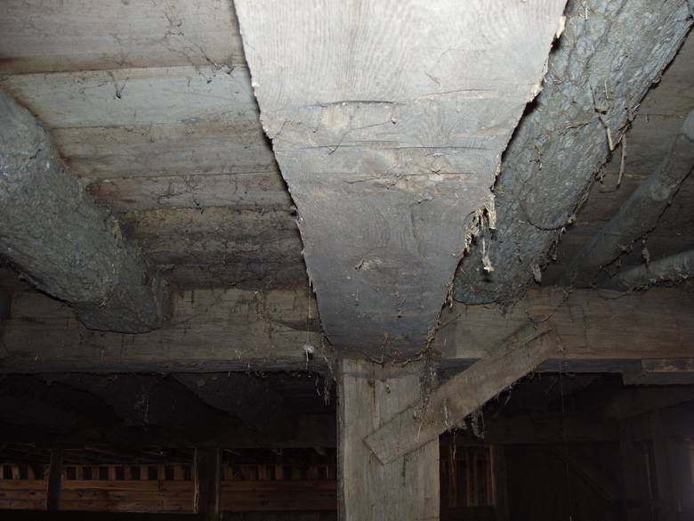 Jan de Jong basement